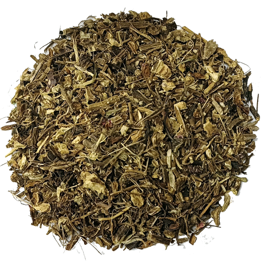 https://www.zelenedrahokamy.cz/images/virtuemart/product/echinkoren.png