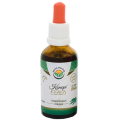 Konopí CBD - Cannabis sativa AF tinktura 50 ml