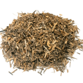 Pýr plazivý oddenek 1000g