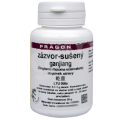 Zázvor sušený extrakt Ganjiang 20g